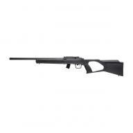 Regent RBA 1 kal. 22 LR